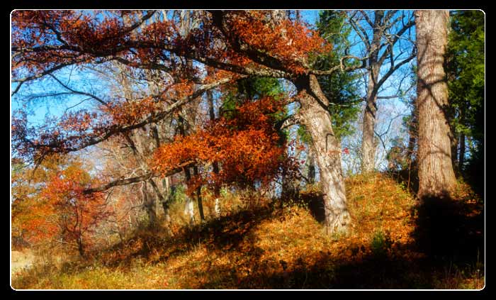 Fort Ancient Earthwork