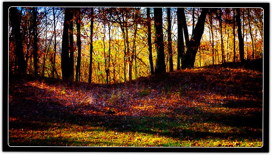 Fort Ancient Perimeter Wall