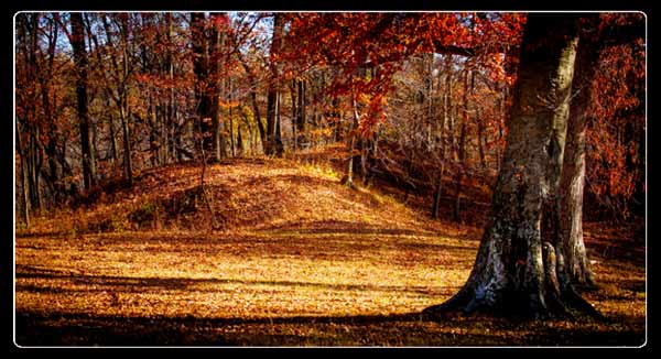 Fort Ancient Mounds