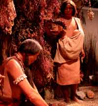 Fort Ancient Museum Display