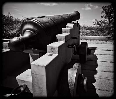 Fort Meigs Artillery